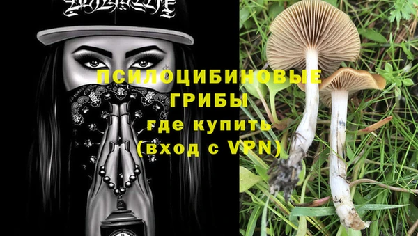 кокаин Белокуриха