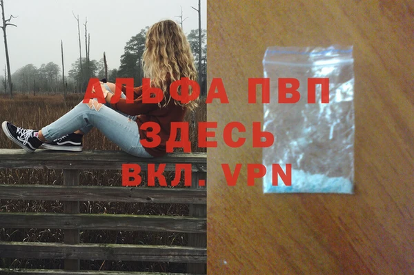 кокаин Белокуриха