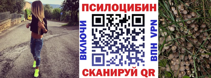 Галлюциногенные грибы MAGIC MUSHROOMS  Бодайбо 